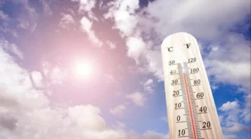 أجواء باردة ليلاً.. تحذير الأرصاد من انخفاض درجات الحرارة الصغرى بالقاهرة لـ 10 درجات